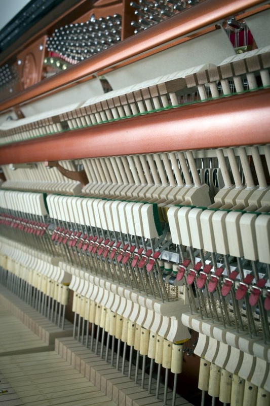 133-detail-12-action-1-web_orig